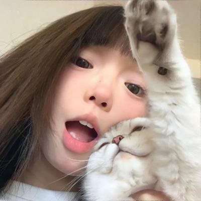 如果历史是一群喵第二季海报